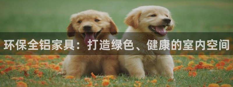 杏耀平台到底能玩吗