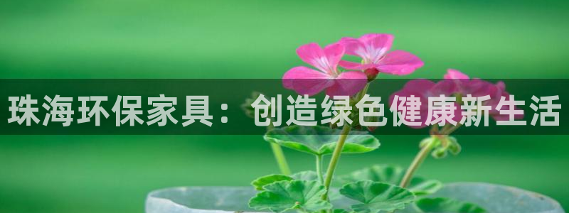 杏耀平台招商的流程