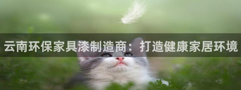杏耀官方娱乐
