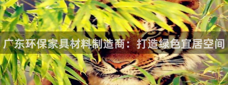 杏耀app怎样申请退款