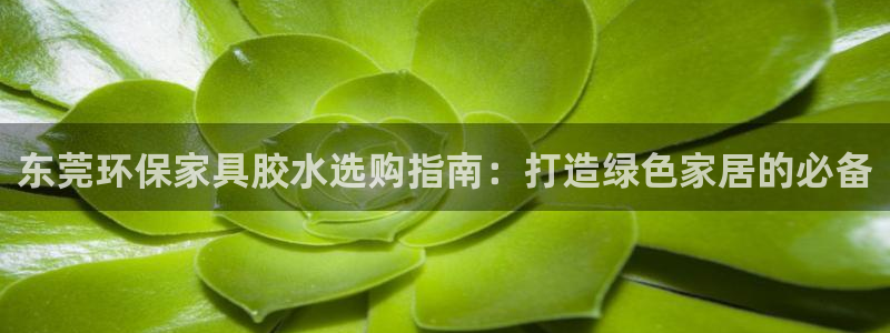 杏耀平台登陆地址