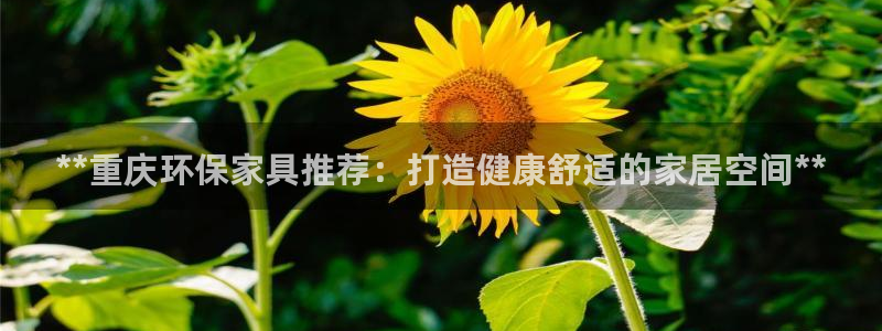 杏耀软件