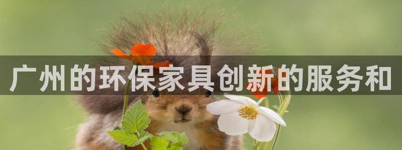 杏耀平台招商的流程