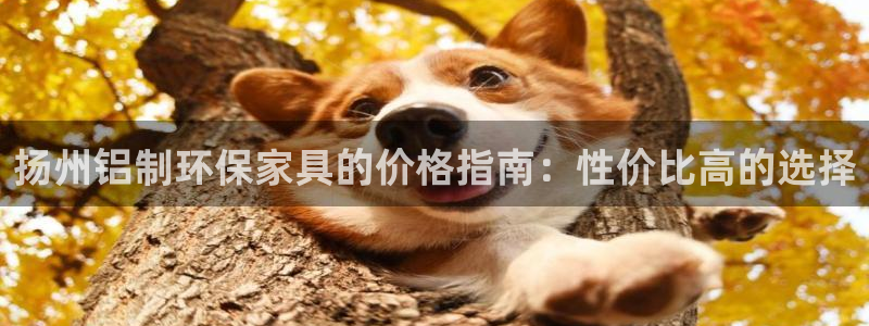 杏耀3代理