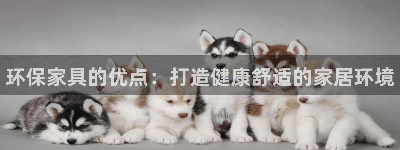 杏耀代理日工资多少