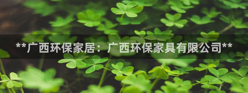 杏耀注册代理：**广西环保家居：广西环保家具有限公司**
