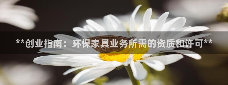杏耀平台代理怎么赚钱：**创业指南：环保家具业务所需的资质和