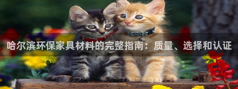 杏耀平台注册登录：哈尔滨环保家具材料的完整指南：质量、选择和