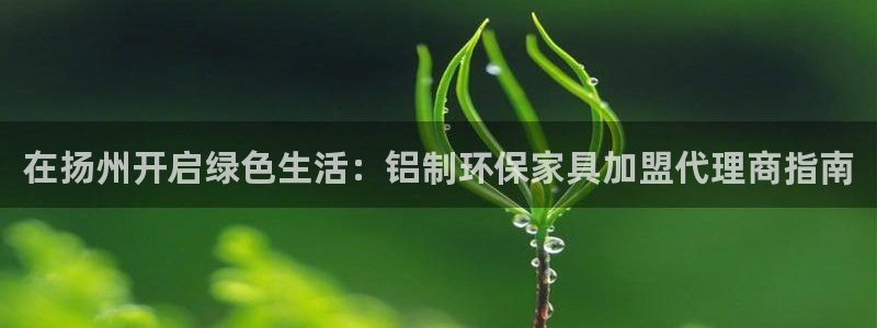 杏耀平台代理注册多少钱一年：在扬州开启绿色生活：铝制环保家具