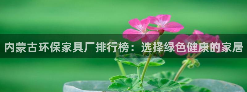 杏耀平台代理登录网址查询：内蒙古环保家具厂排行榜：选择绿色健