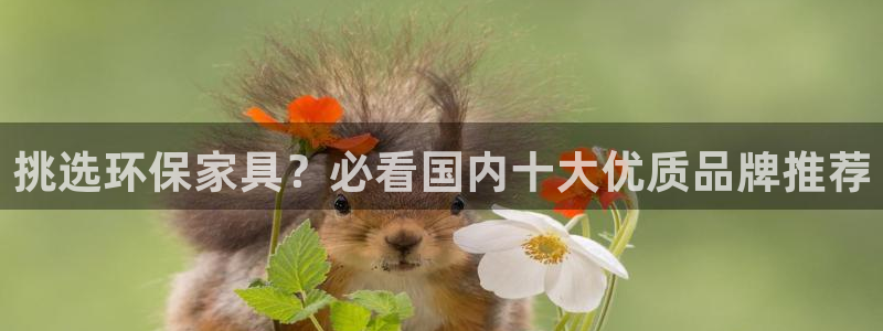 杏耀平台招商的流程：挑选环保家具？必看国内十大优质品牌推荐