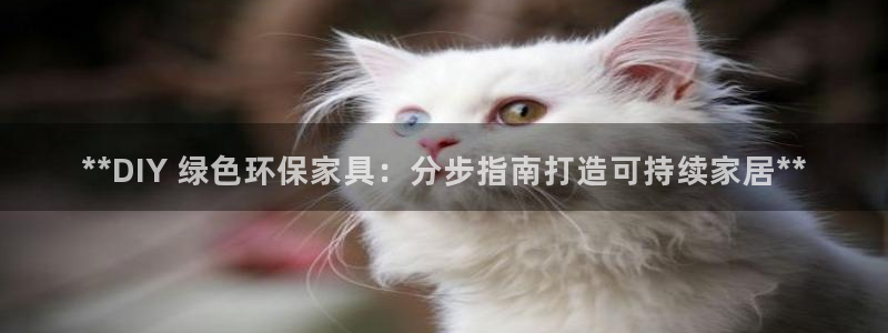 杏耀代理日工资多少：**DIY 绿色环保家具：分步指南打造可