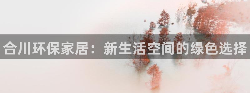 杏耀软件