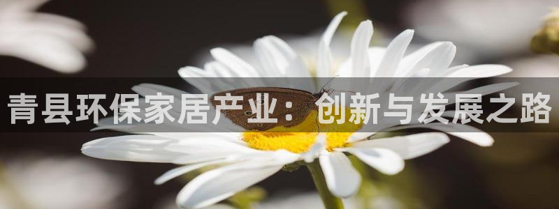 杏耀平台怎么样?