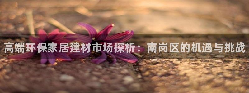 杏耀平台分红：高端环保家居建材市场探析：南岗区的机遇与挑战