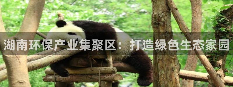 杏耀平台注册登录：湖南环保产业集聚区：打造绿色生态家园