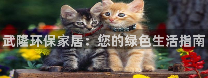 杏耀注册登录：武隆环保家居：您的绿色生活指南