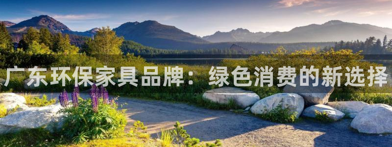 杏耀平台登录网址：广东环保家具品牌：绿色消费的新选择