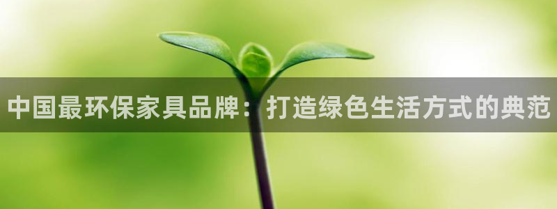 杏耀客户端登陆：中国最环保家具品牌：打造绿色生活方式的典范