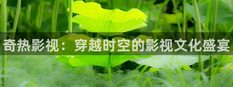 天狼影院私人：奇热影视：穿越时空的影视文化盛宴