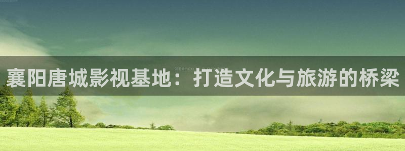 古墓丽影h版天狼影院：襄阳唐城影视基地：打造文化与旅游的桥梁